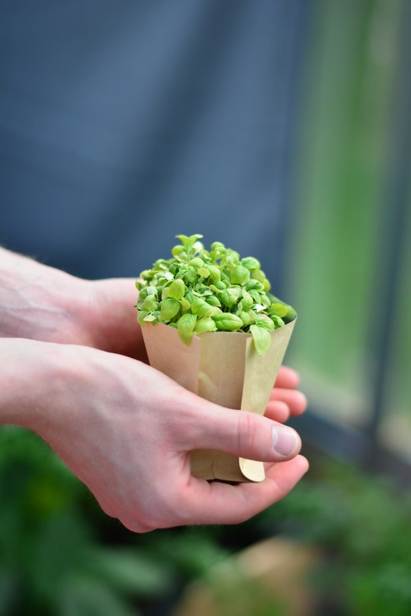 Éco-responsabilité en entreprise : adoptez des supports papier à l'ère du numérique